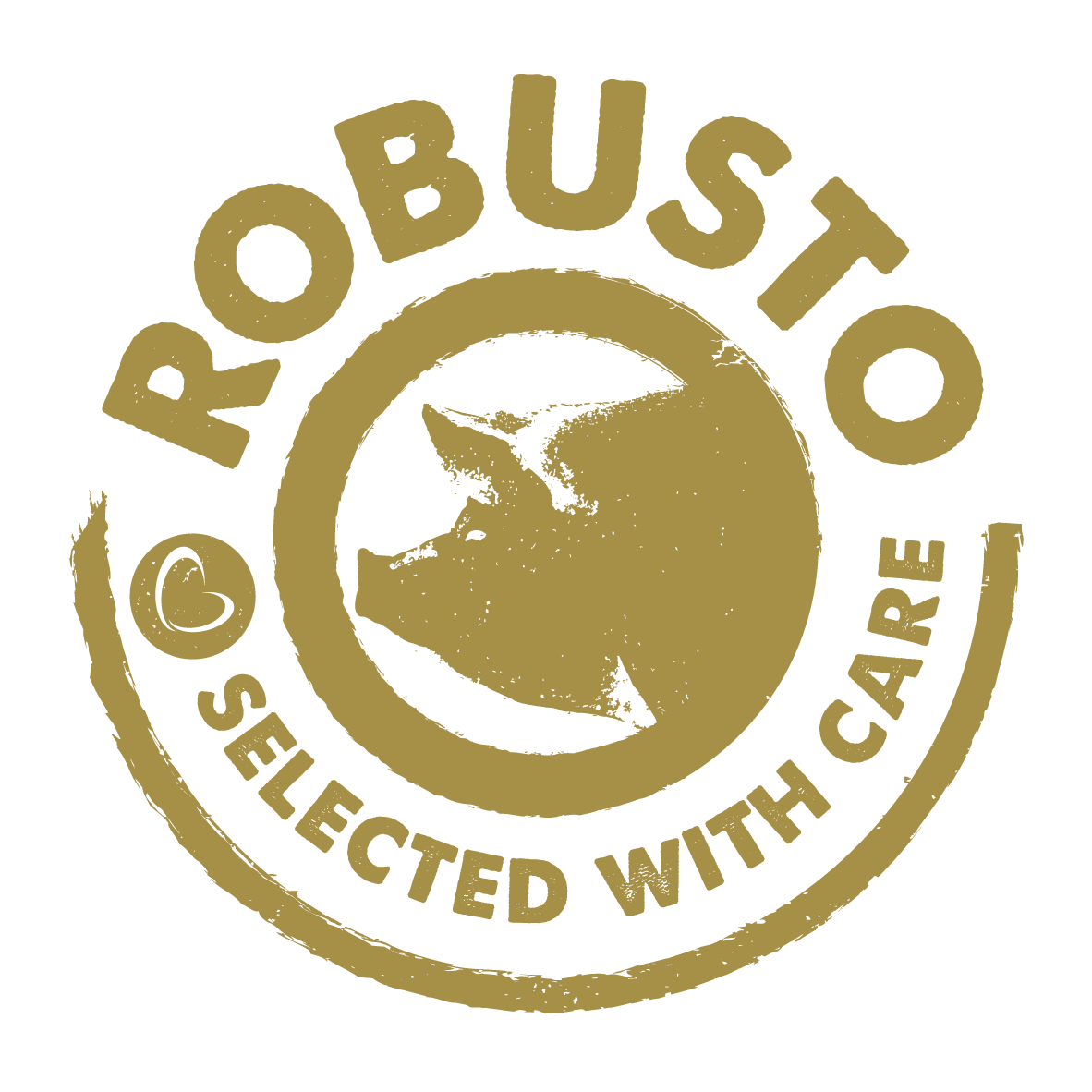 ROBUSTO